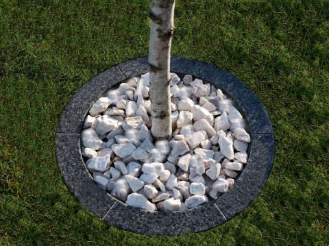 Obrzeża do drzew antracytowe z fugą- śr.50cm