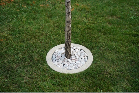 Obrzeża do drzew owocowych- beżowe, śr.50cm