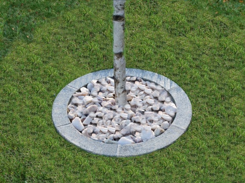 Obrzeża do drzew z fugąmi, śr.50cm- szary granit