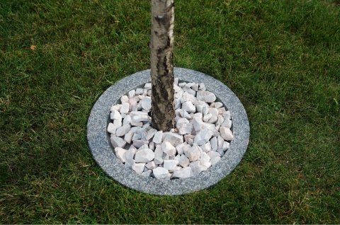 Obrzeża trawnikowe do drzew śr.50cm- szary granit