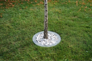 Obrzeża trawnikowe do drzew śr.50cm- szary granit