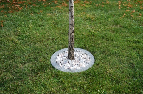 Obrzeża trawnikowe do drzew śr.50cm- szary granit