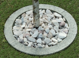 Obrzeża trawnikowe do drzew śr.50cm- szary granit