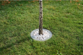 Obrzeża trawnikowe wokół drzew- szary granit- śr.40cm