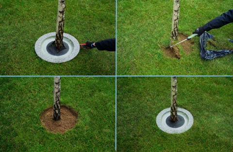 Obrzeża trawnikowe wokół drzew- szary granit- śr.40cm